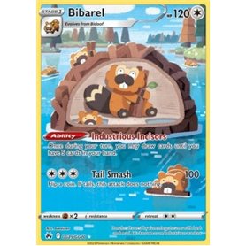 CRZ GG25 - Bibarel CRZ GG25 - Bibarel