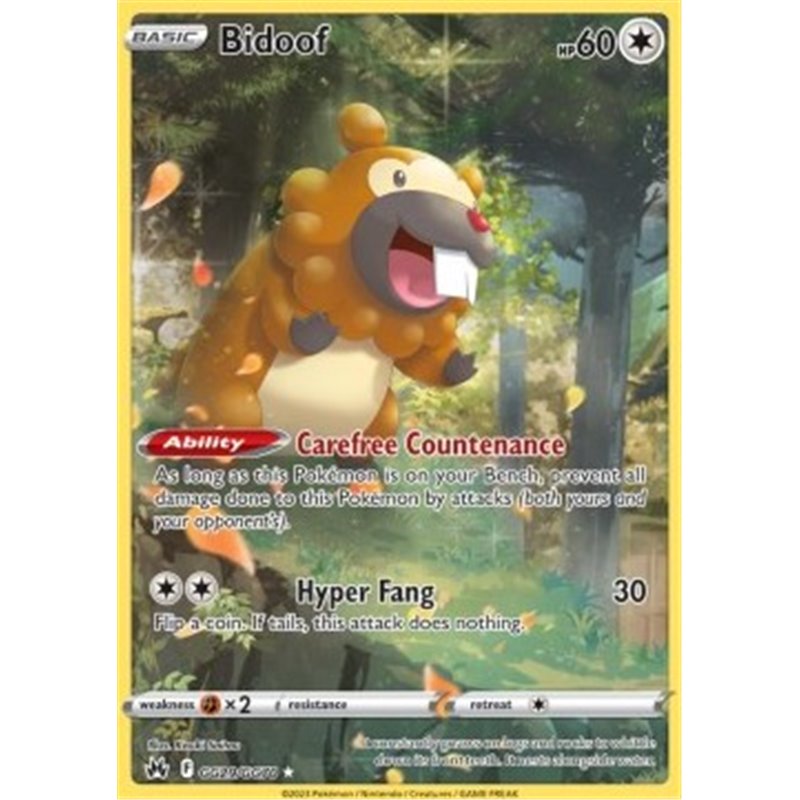 CRZ GG29 - Bidoof