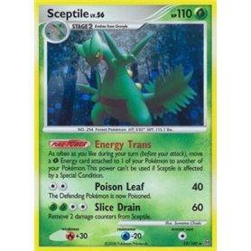 Sceptile Lv.56