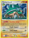 Torterra Lv.47