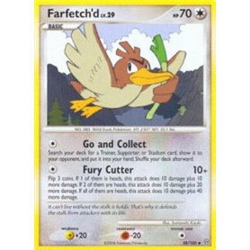 STF 038 - Farfetch'd Lv.29 Farfetch'd Lv.29