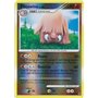 STF 046 - Piloswine Lv.34