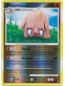 STF 046 - Piloswine Lv.34
