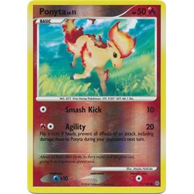 STF 071 - Ponyta Lv.11