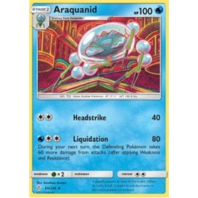 CEC 065 - Araquanid CEC 065 - Araquanid