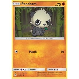 CEC 119 - Pancham Pancham (CEC 119)