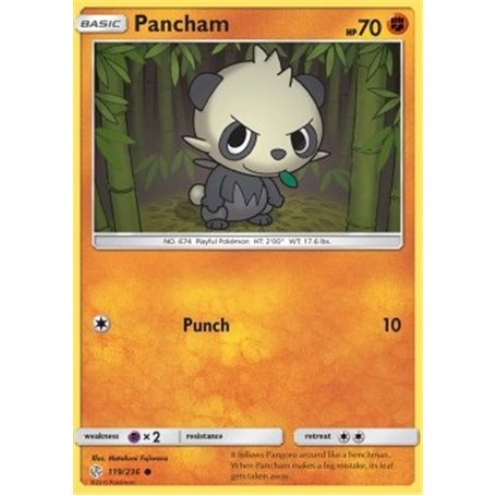 Pancham (CEC 119)