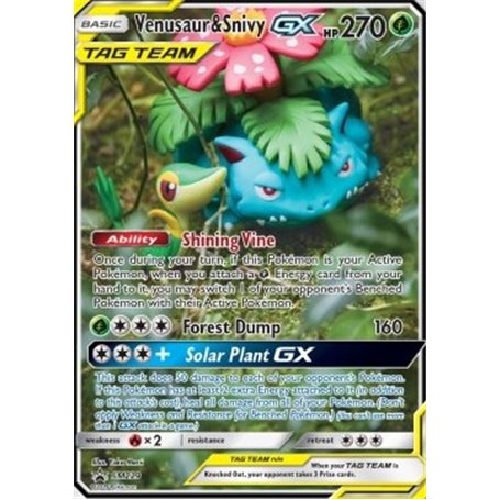 SM 229 - Venusaur & Snivy GX