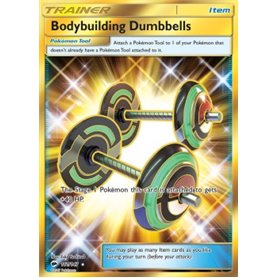 BUS 161 - Bodybuilding Dumbbells