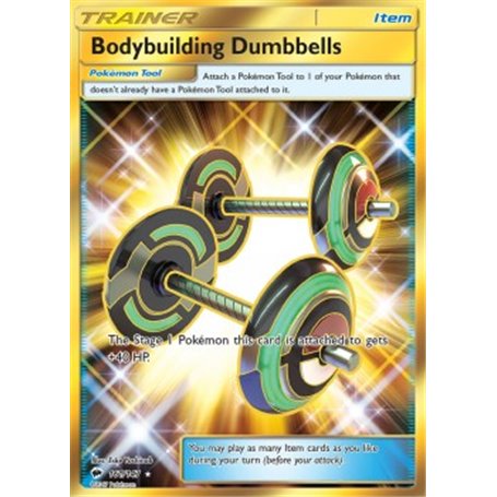 BUS 161 - Bodybuilding Dumbbells