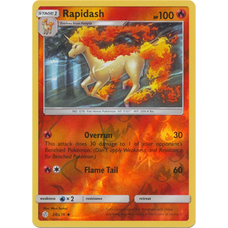 CEC 024 - Rapidash