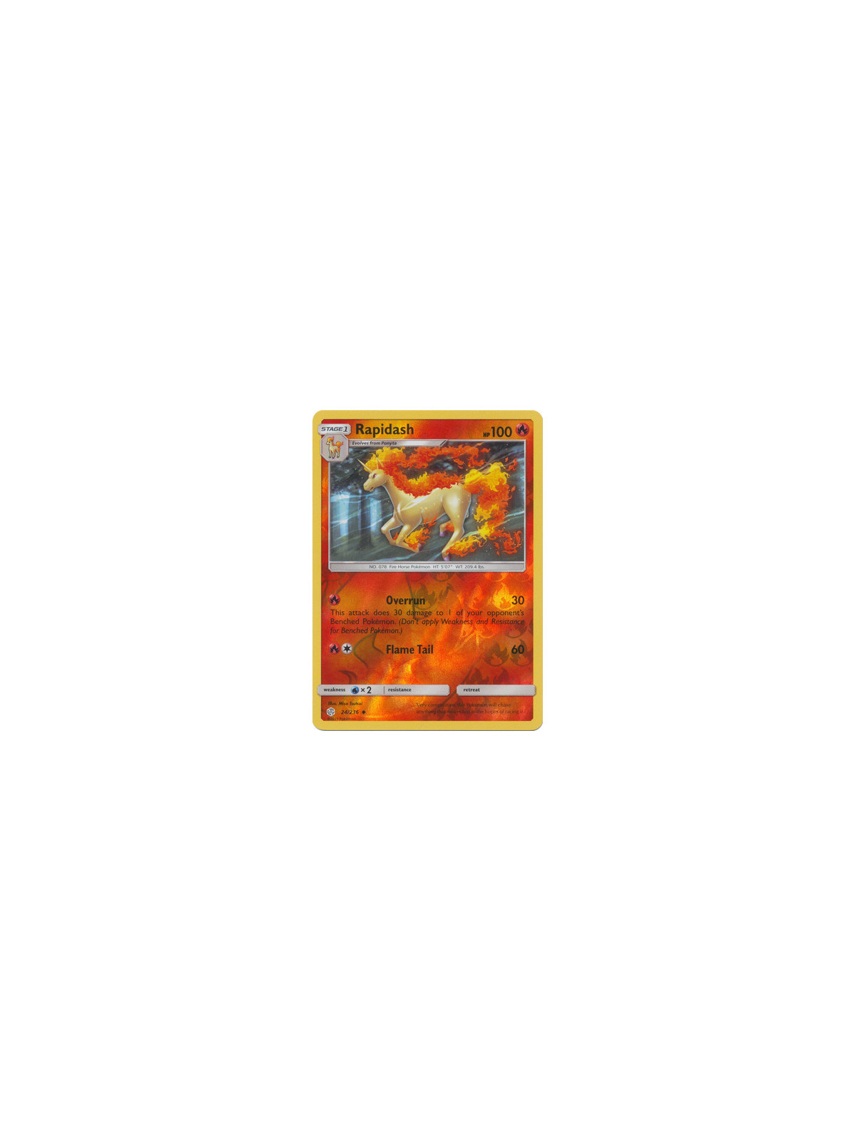 CEC 024 - Rapidash