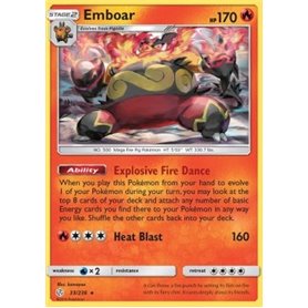 CEC 033 - Emboar CEC 033 - Emboar