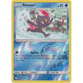 CEC 043 - Sneasel