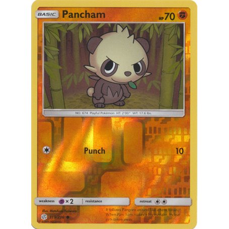 CEC 119 - Pancham