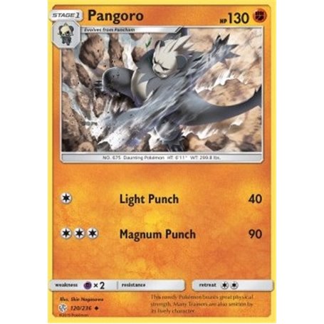 CEC 120 - Pangoro