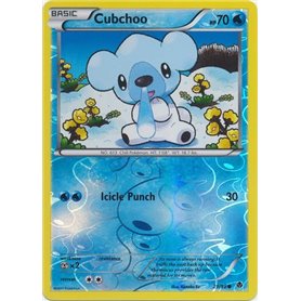 EPO 029 - Cubchoo