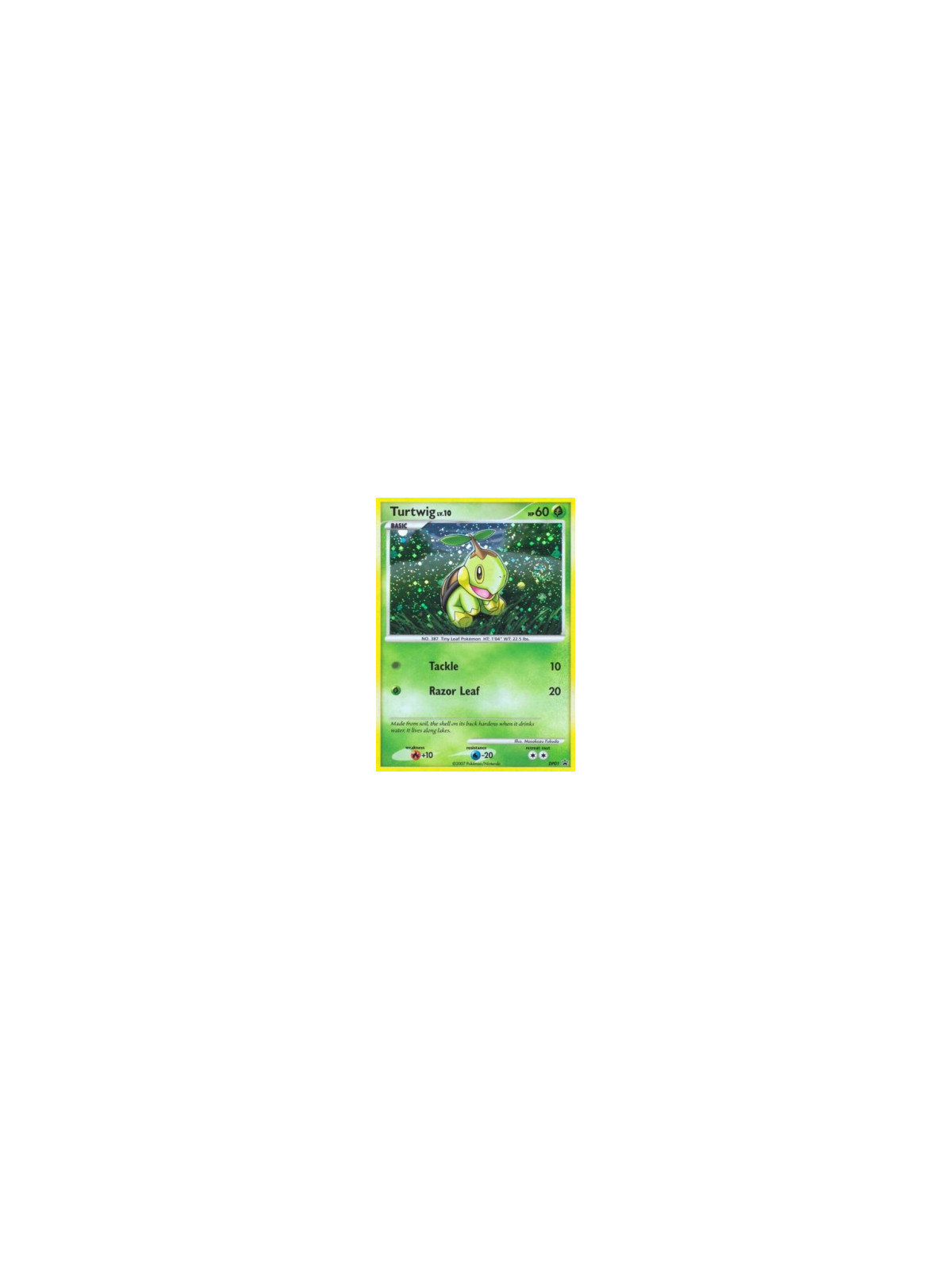 DPPR 001 - Turtwig Lv.10