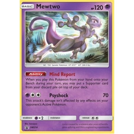 SM 214 - Mewtwo