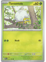 PAL 017 - Tarountula - Reverse Holo