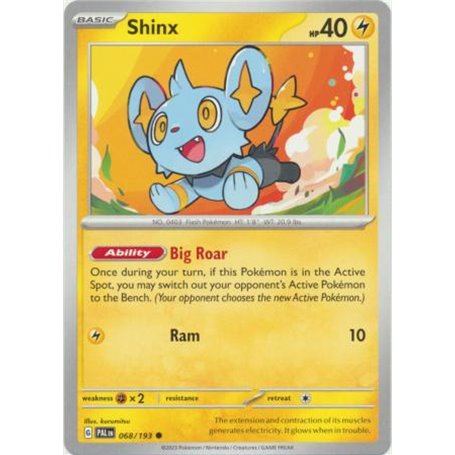 PAL 068 - Shinx