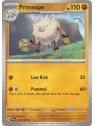 PAL 107 - PrimeapePaldea Evolved Paldea Evolved€ 0,05 Paldea Evolved