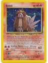 NR 006 - Entei