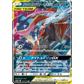sm12a 072 - Greninja & Zoroark GX sm12a 072 - Greninja & Zoroark GXTag Team GX: Tag All Stars Tag Team GX Tag All Stars€ 2,99 Tag Team GX: Tag All Stars