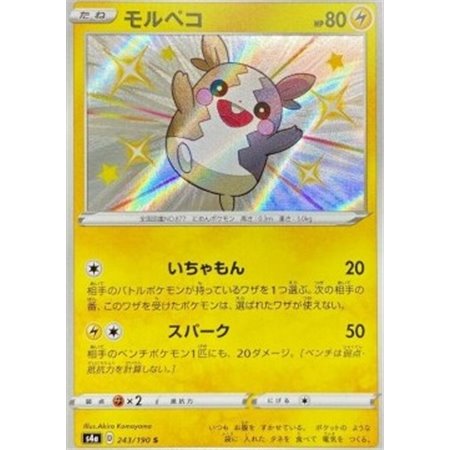 S4a 243 - Morpeko