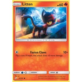 TEU 020 - Litten TEU 020 - Litten
