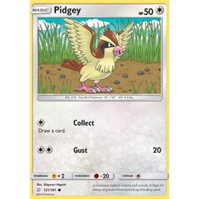 TEU 121 - Pidgey TEU 121 - Pidgey
