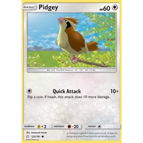 TEU 122 - Pidgey TEU 122 - Pidgey