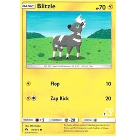 LOT 081 - Blitzle - Fixed LOT 081 - Blitzle - Fixed