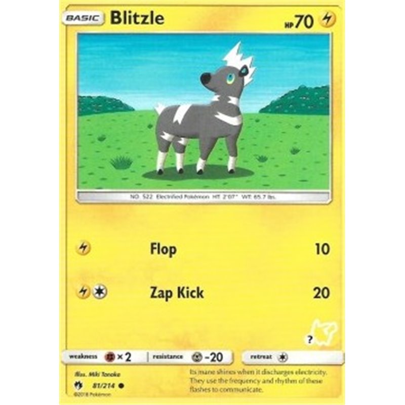 LOT 081 - Blitzle - Fixed