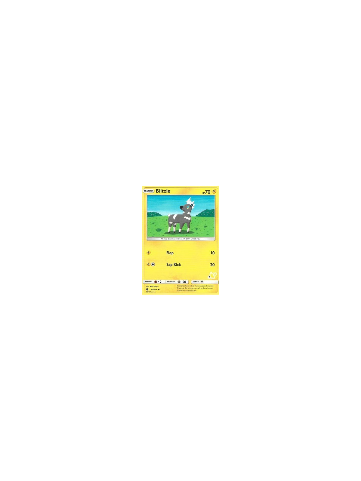 LOT 081 - Blitzle - Fixed