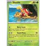 OBF 005 - Shuckle - Reverse Holo