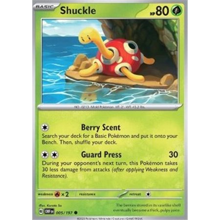 OBF 005 - Shuckle - Reverse Holo