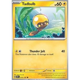 OBF 075 - Tadbulb OBF 075 - Tadbulb