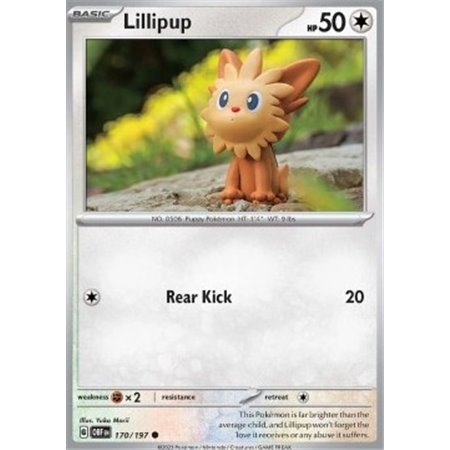 OBF 170 - Lillipup