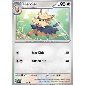 OBF 171 - Herdier - Reverse Holo