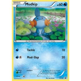 XYPR 038 - Mudkip Mudkip (XYPR 038)