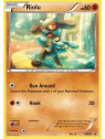 BW 033 - Riolu