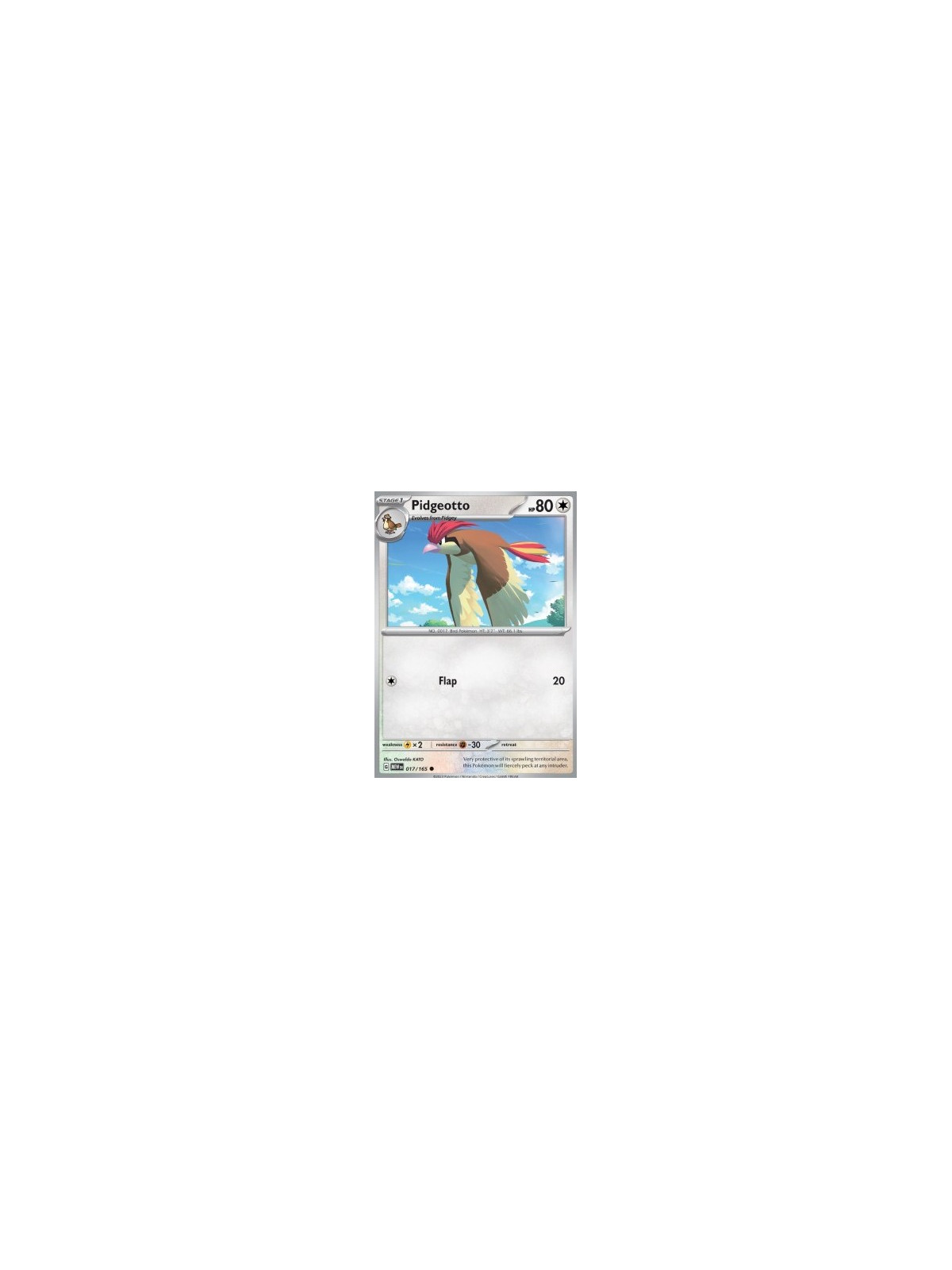 MEW 017 - Pidgeotto