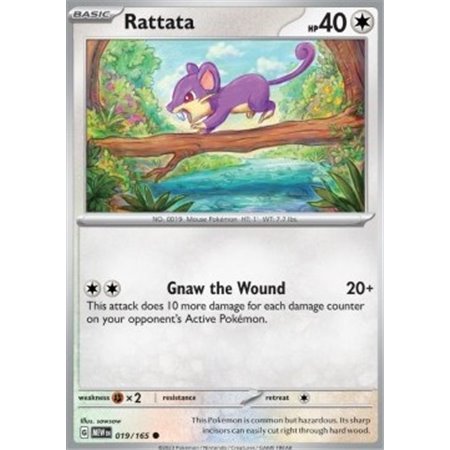 MEW 019 - Rattata