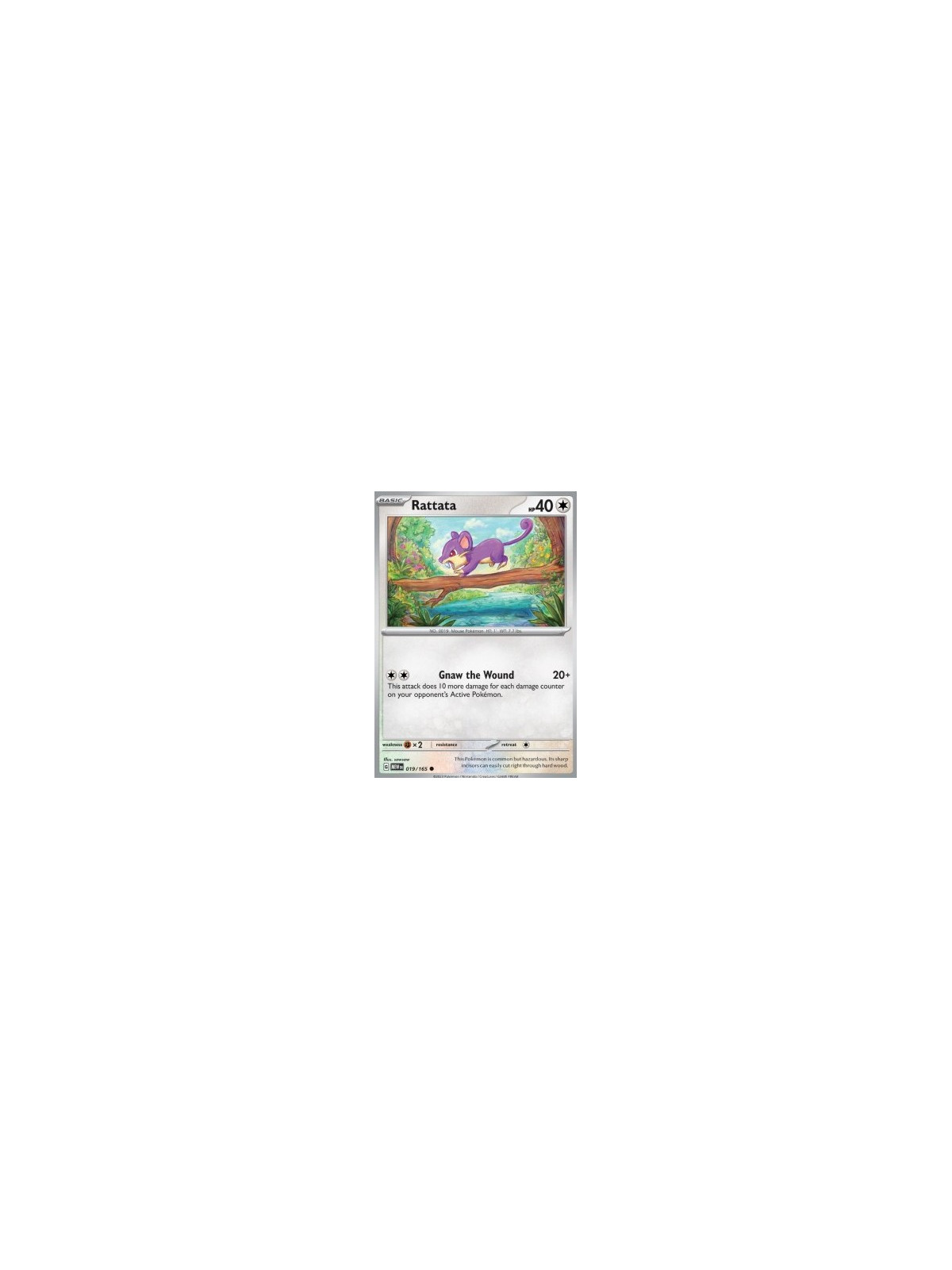 MEW 019 - Rattata