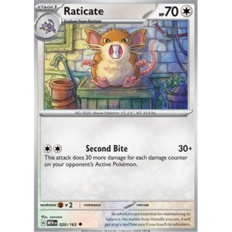MEW 020 - Raticate