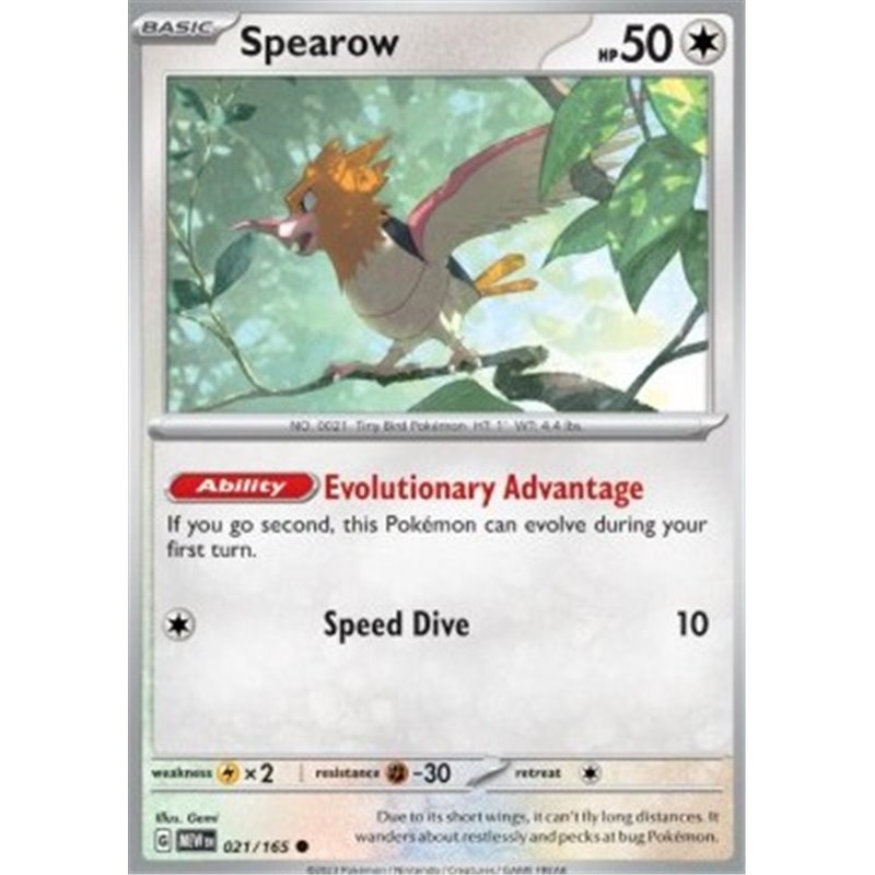 MEW 021 - Spearow