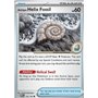 MEW 153 - Antique Helix Fossil