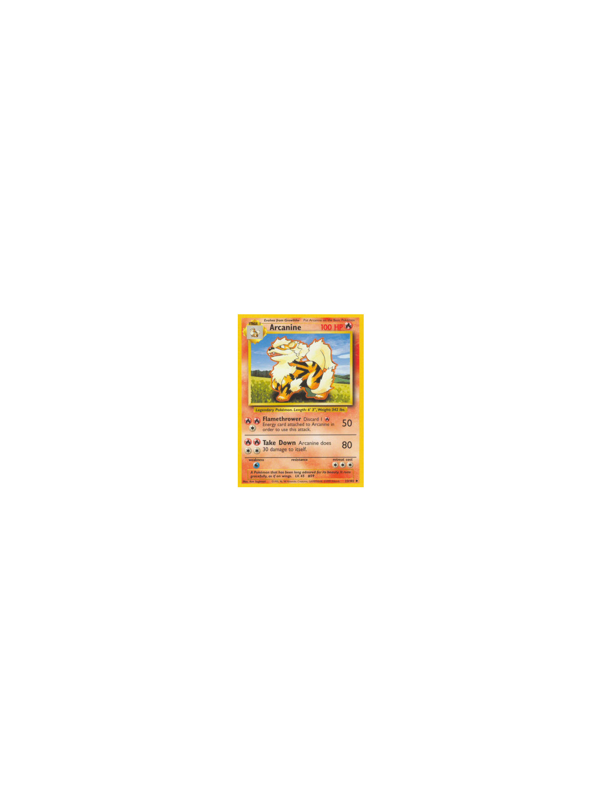 BS 023 - Arcanine