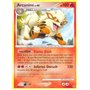 SW 022 - Arcanine Lv.48